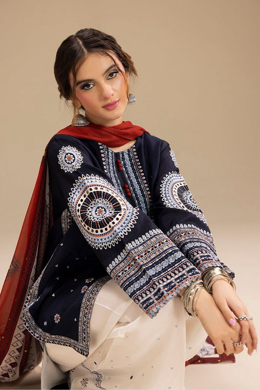 DHANAK embroidery 3PC suit.